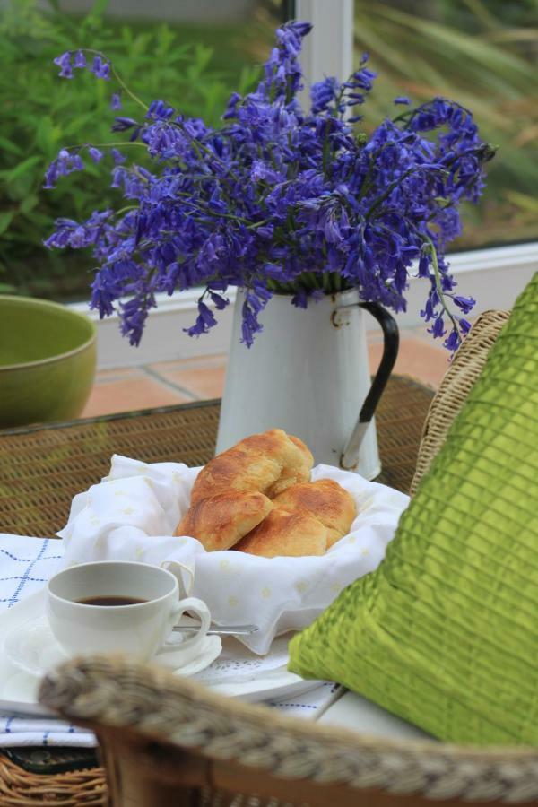 Bed and Breakfast Ty Llwyd Treffynnon Exterior foto